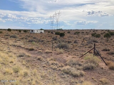 5324 White Antelope Rd, Snowflake, AZ 85937 - photo 4