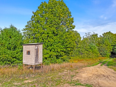 1464 N Raymond Rd, Luther, MI 49656 - photo 5