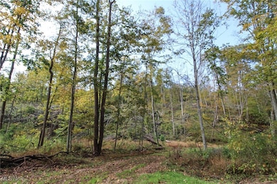 0 Cow Run Rd unit 5173911, Marietta, OH 45750 - photo 6