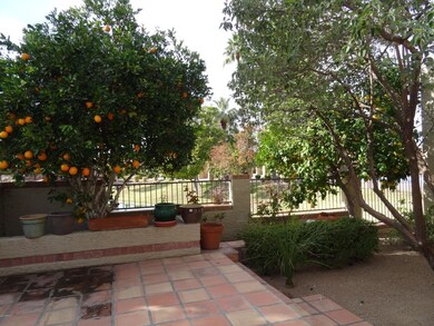 Patio with View Fence