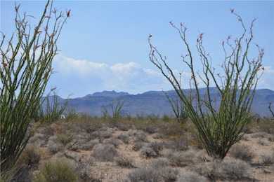 D4 Rose Well Rd, Yucca, AZ 86438 - photo 3