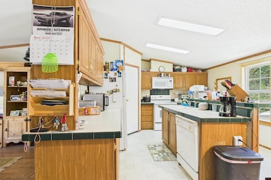 6595 Push Mountain Rd, Norfork, AR 72658 - photo 6