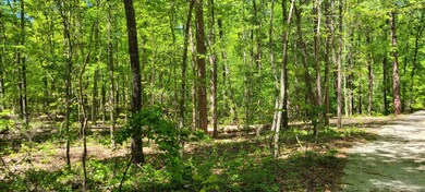 4 right side of property 2
