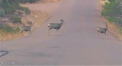 6283 Juniper Ridge Rd, Show Low, AZ 85901 - photo 6