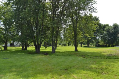 Rear Yard 2