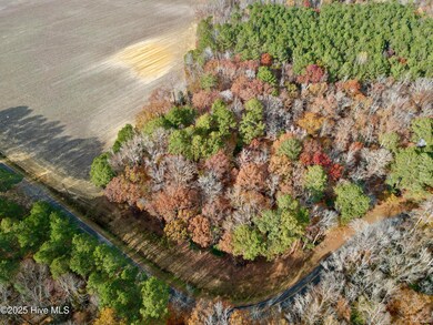 0 Williams St, Williamston, NC 27892 - photo 3