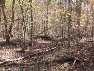 Land/Lot. Typical woods shot at Apple Farm Acres.