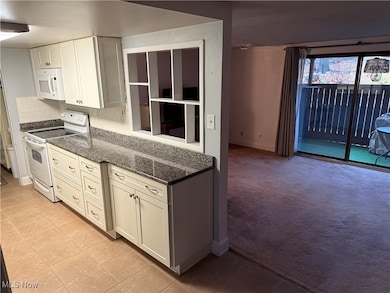 6895 Carriage Hill Dr unit E77, Brecksville, OH 44141 - photo 2