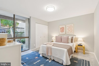 2246 S Randolph St unit 1, Arlington, VA 22204 - photo 6