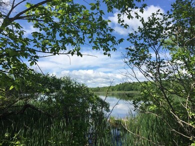 View of Jug Stream from the path on...
