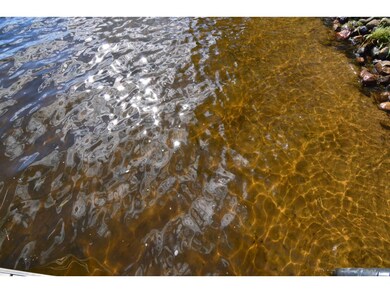 Hard sand bottom shoreline for all your summer fun