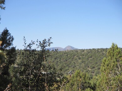 404 S Canpar Way, Payson, AZ 85541 - photo 5