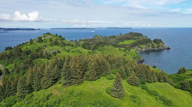 L9 Beaches - Cliff Point Estates, Kodiak, AK 99615 - photo 3