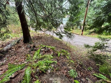 48 Emerald Lake Way, Bellingham, WA 98226 - photo 7