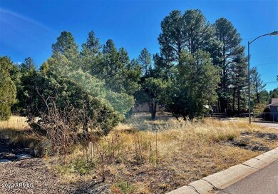 801 Bushman -- unit 1, Show Low, AZ 85901 - photo 2