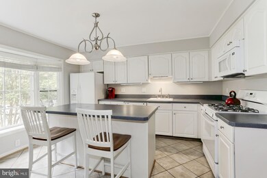 6820 Earthstar Ct, Springfield, VA 22152 - photo 4