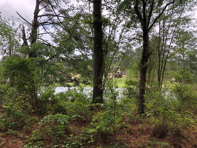 View from lot