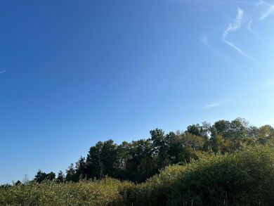 TBD off Emerald Rd, Cushing Township, MN 56475 - photo 4