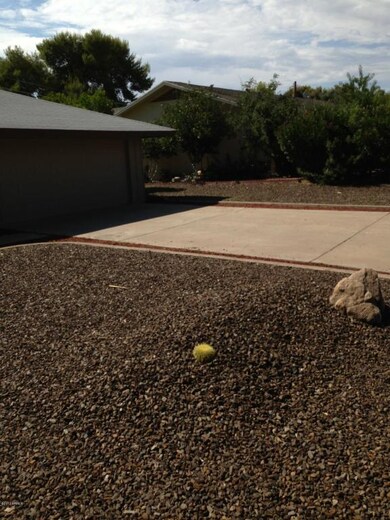 photo 2 (3)
