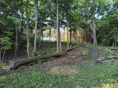 7077 10th Ave SW, La Grand Township, MN 56308 - photo 7