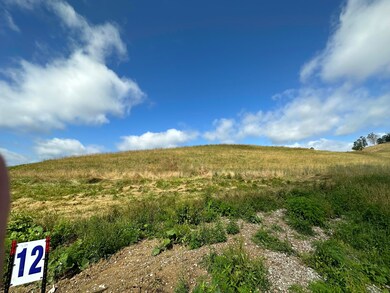 Tract 12 Pittsburg Landing Rd, London, KY 40741 - photo 5