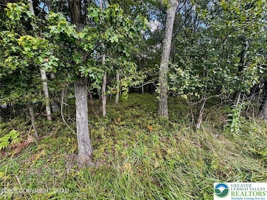 0 Bear & Behrens Rd unit 764100, Penn Forest Township, PA 18229 - photo 2