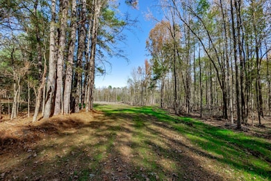 0 Flint Hill Rd unit 23523957, Ridgeway, SC 29130 - photo 7