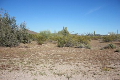 Lot looking east