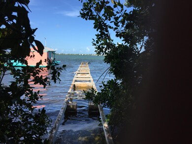 Dock needs replacement