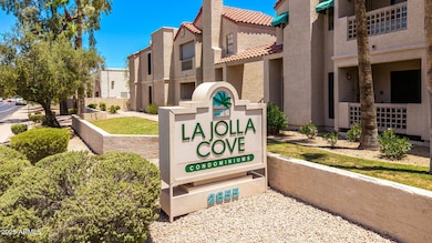 05 | La Jolla Cove