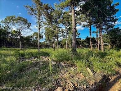 TBD Tract #1 Coggins Ave, Poteau, OK 74953 - photo 3