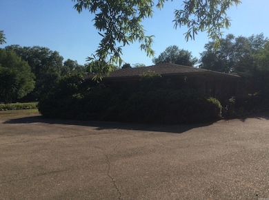 1115 N Charlyne Ave, Brinkley, AR 72021 - photo 3