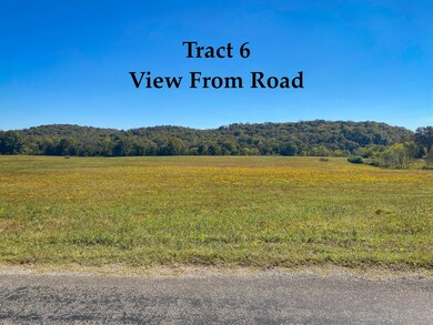 0 Narrows of the Harpeth Rd, Kingston Springs, TN 37082 - photo 5