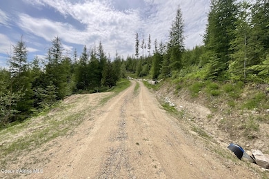 1728 Rugged Trail, Sagle, ID 83860 - photo 5