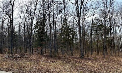 Lot 81 Land and Trees from street