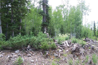 91 S Spring Cir unit SHC u-C b-F lot 19, Brian Head, UT 84719 - photo 6