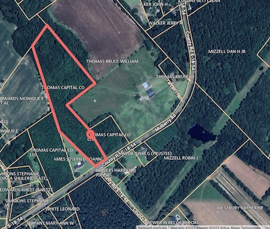 Image 8-14-25 at 5.01PM