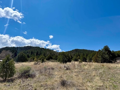 5 Acres Tract 47 Old Red River Rd, Questa, NM 87556 - photo 3