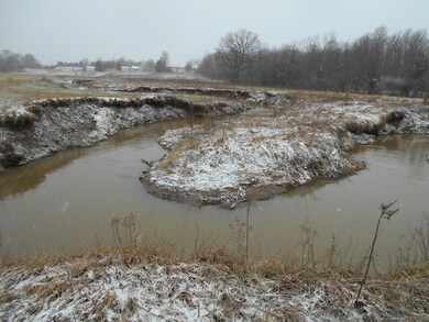 1561 140th Ave, Wayland, MI 49348 - photo 4