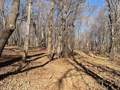 TBD Moe Hall Rd NW, Moe Township, MN 56332 - photo 2