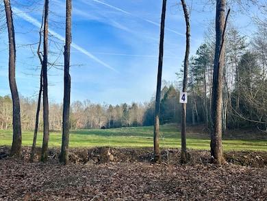 Lot 4 Radford Rd, East Bernstadt, KY 40729 - photo 2