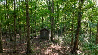 63 Charlsie Ln, Stewart, TN 37175 - photo 5