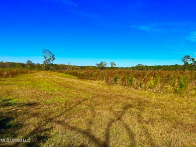 0 Darbun China Grove Rd unit 4132615, Sandy Hook, MS 39478 - photo 6