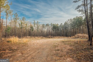 28.61 ACRES Sandy Creek Rd, Madison, GA 30650 - photo 5