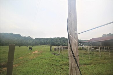 52.36 Acres Butler Rd, Siloam Springs, AR 72761 - photo 7