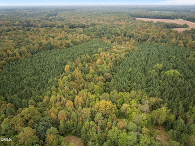 Lot 4 Wolf Tree Way, Efland, NC 27243 - photo 3