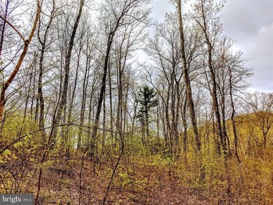 0 Bison Ridge Ln unit PAPY2002416, Newport, PA 17074 - photo 2