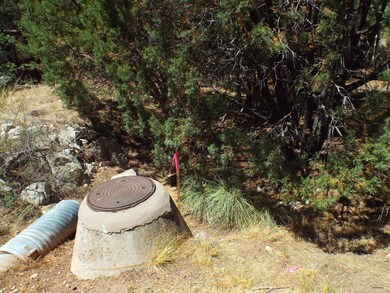 Front south pin