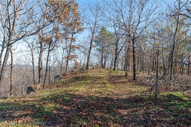 TBD Bear Hollow Rd, Fort Smith, AR 72916 - photo 7