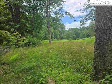 867 New River Bend Rd S, Fleetwood, NC 28626 - photo 6